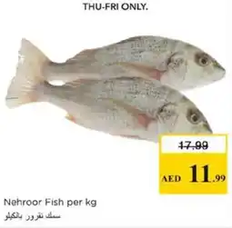 Nesto Nehroor Fish offer