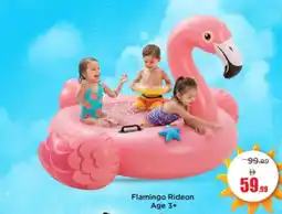 Mark & Save Flamingo Rideon offer