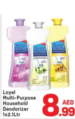Day To Day Loyal Multi-Purpose Household Deodorizer offer