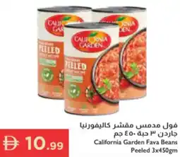 Istanbul Supermarket California garden fava beans peeled offer