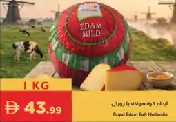 Istanbul Supermarket Royal edam ball hollandia offer