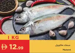 Istanbul Supermarket Mackerel offer