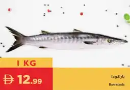 Istanbul Supermarket Barracuda offer