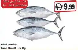 Almaya supermarket Tuna Small offer