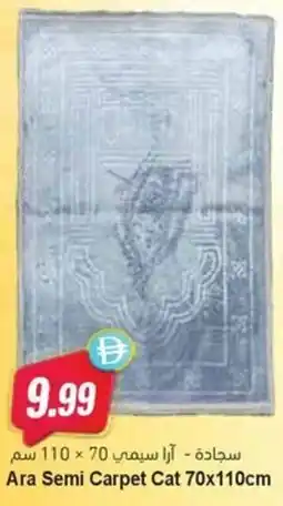 Almaya supermarket Ara Semi Carpet Cat offer