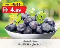 KM Trading Blueberry (per box) offer