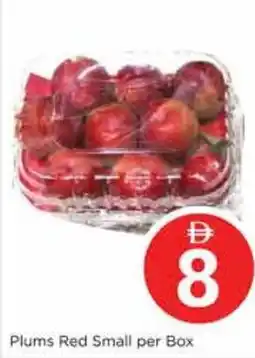Nesto Plums Red Small offer