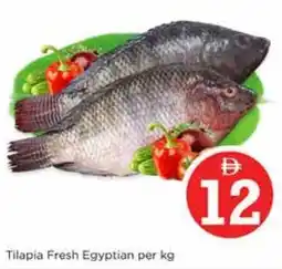 Nesto Tilapia Fresh Egyptian offer