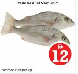 Nesto Nehroor Fish offer