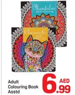 Day To Day Adult colouring book asstd offer