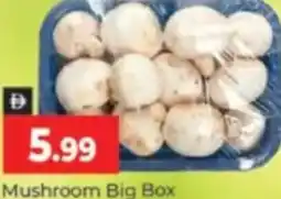 Al Madina Mushroom Big Box offer