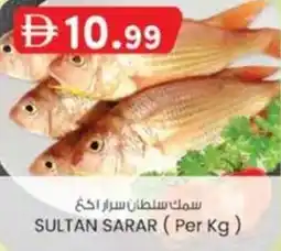 KM Trading Sultan sarar offer