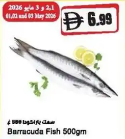 Almaya supermarket Barracuda Fish offer