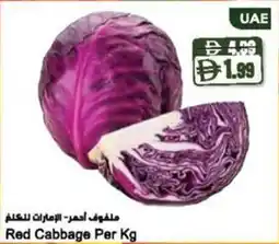 Almaya supermarket Red Cabbage offer