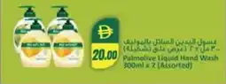 Almaya supermarket Palmolive liquid hand wash offer