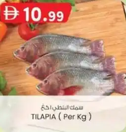 KM Trading Tilapia offer