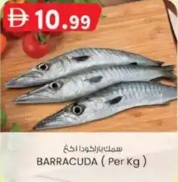 KM Trading Barracuda offer
