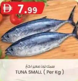 KM Trading Tuna small offer