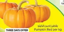 Nesto Pumpkin Red offer