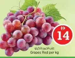Nesto Grapes Red offer