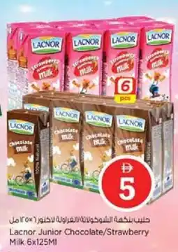 Nesto Lacnor Junior Chocolate/Strawberry Milk offer