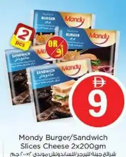 Nesto Mondy Burger/Sandwich Slices Cheese offer