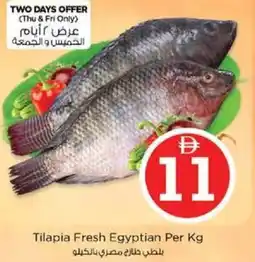 Nesto Tilapia Fresh Egyptian offer