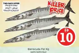 Nesto Barracuda offer