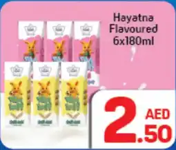 Day To Day Hayatna Flavoured offer