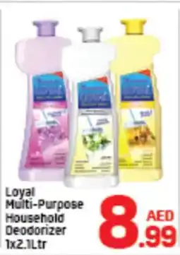 Day To Day Loyal Multi-Purpose Household Deodorizer offer