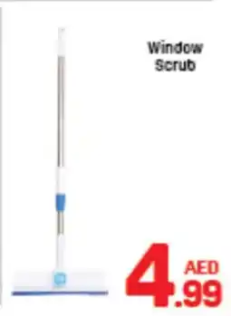 Day To Day Window Scrub offer