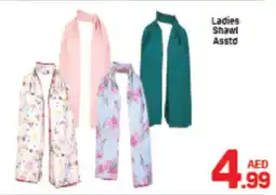 Day To Day Ladies Shawl Asstd offer