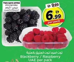 Nesto Blackberry / Raspberry UAE offer
