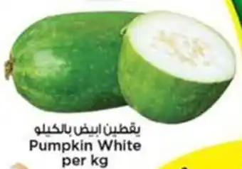 Nesto Pumpkin white offer