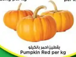Nesto Pumpkin Red offer