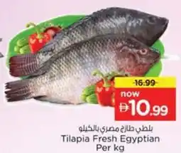 Nesto Tilapia Fresh Egyptian offer