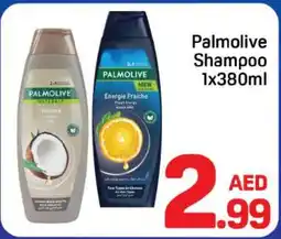 Day To Day Palmolive Shampoo offer