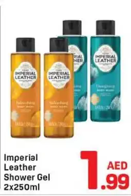 Day To Day Imperial Leather Shower Gel offer