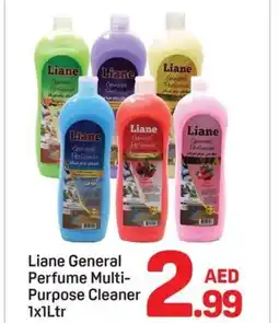 Day To Day Liane General Perfume Multi Purpose Cleaner offer