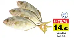Aswaq Ramez Jesh fish offer