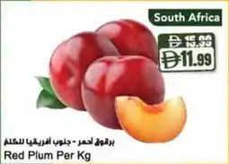 Almaya supermarket Red Plum offer