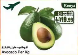 Almaya supermarket Avocado offer