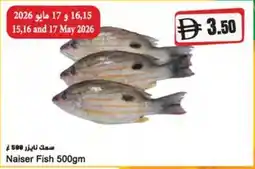 Almaya supermarket Naiser Fish offer