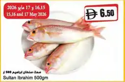 Almaya supermarket Sultan Ibrahim offer