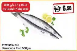 Almaya supermarket Barracuda Fish offer