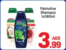 Day To Day Palmolive Shampoo offer