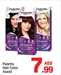 Day To Day Palette Hair Color Asstd offer
