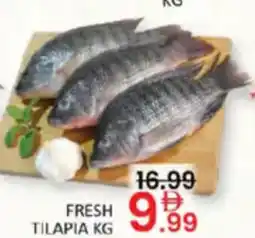 Al Madina Hypermarket Fresh tilapia offer