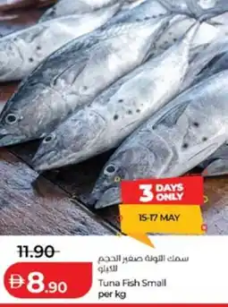 Lulu Hypermarket Tuna Fish Small offer