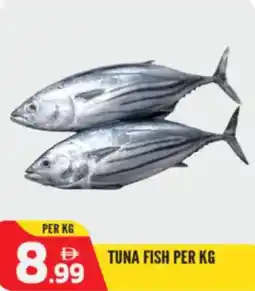 Dream Land Center Tuna fish offer